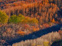 -玉渡山自然风景区