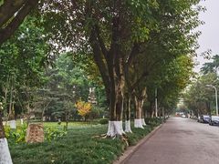 -西南政法大学(沙坪坝校区)