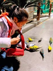 -酷嗒动物文化乐园(cutezoo西溪乐天城店)