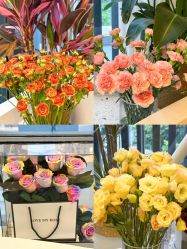 -韩芙莱芳疗spa健康管理