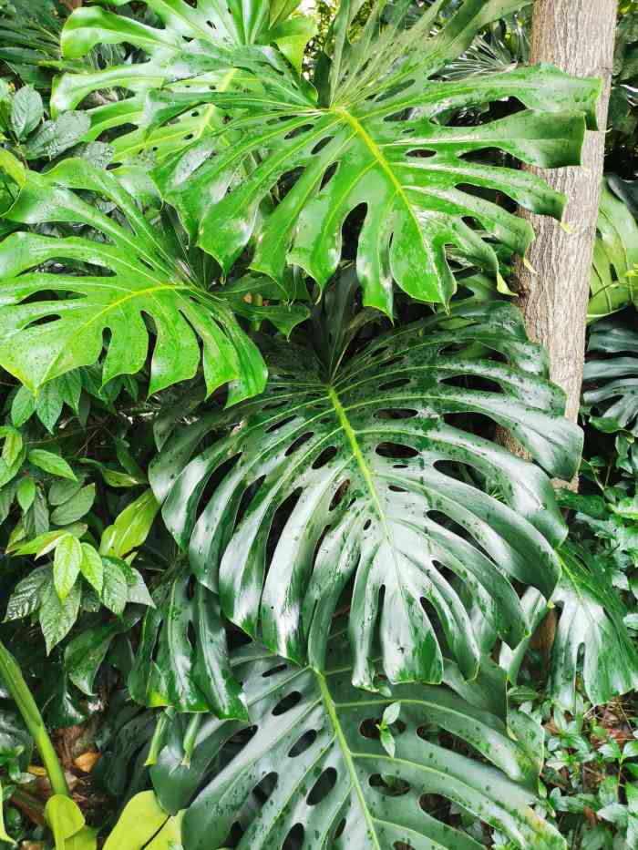 南岗山公园-"南岗山公园距离南岗地铁站约300米左右?"-大众点评移动版