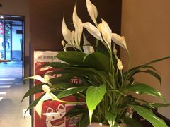-老头儿油爆虾(胜利河美食街店)