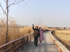 -绿堤公园