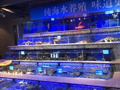 -青蓬蒸汽海鲜·深圳老字号·团建聚会(壹方城店)