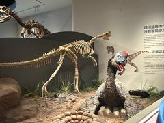 -自贡恐龙博物馆