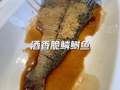 -新雅粤菜馆(南京东路店)