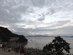 -深圳湾公园(南山区)