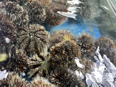 -明润海鲜(南边海店)