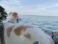 -上海美帆帆船露营基地