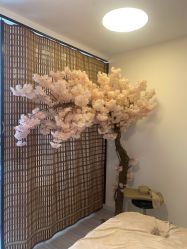 点击看大图 -至臻康妍健康管理中心