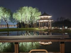 -渤公岛生态公园