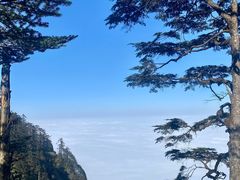 -瓦屋山景区