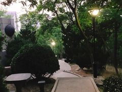 -观象山公园