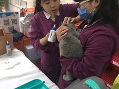 -惠康宠物医院(华能路店)