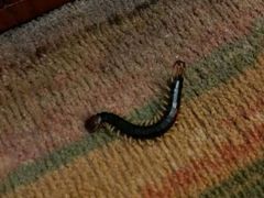 -扬州瘦西湖汇金酒店