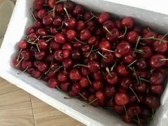 -东方鼎信农副产品交易中心