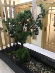 -芳朵美容养生SPA