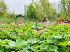 -太阳宫公园