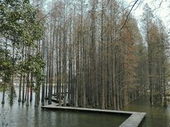 -采石矶景区