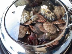 -大锅强·蒸海鲜青岛菜(金沙滩店)
