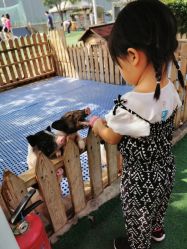 -萌宠亲子动物乐园(槐房万达店)