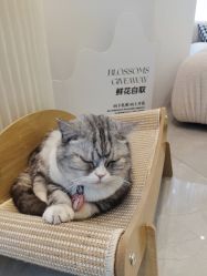-倩极·精研痘敏肌管理
