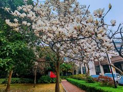 -河南省黄河迎宾馆