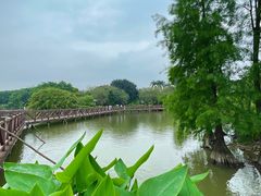 -海珠湖公园
