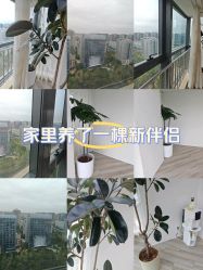 -HEYAN荷妍专业脱毛连锁机构