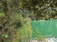 -广州市流溪河国家森林公园