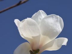 -江南天池