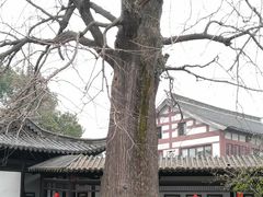 -常熟方塔园