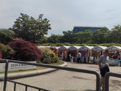 -嘉定紫藤园