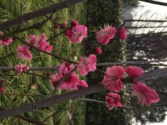 怡沁园度假村-上海怡沁园度假酒店