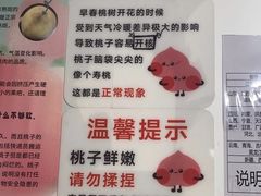 -老袁家蜜桃农场·阳山水蜜桃