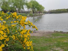 -九里河湿地公园