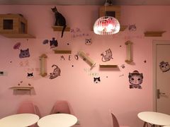 -三花喵·撸猫购宠·宠物生活馆(虹桥南丰城店)
