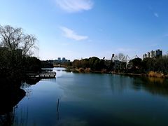 -新江湾城公园