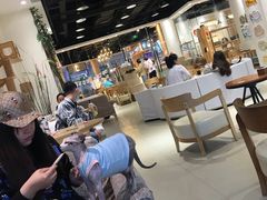 大堂-藏猫猫咖啡主题馆(中央大道店)