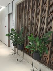 -禾丽康美医疗美容医院
