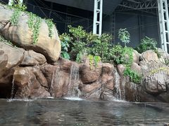 -上海海洋水族馆