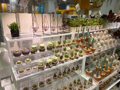 -KKV(深圳宏发大仟里店)