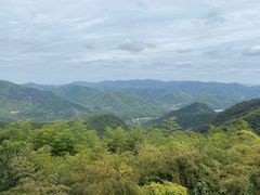 -莫干山风景区