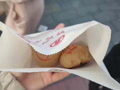 -真老大房鲜肉月饼(南京路步行街店)