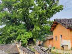 -杨家堂村