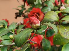 -长航医院·停车场