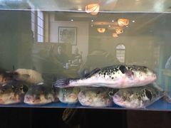 -天正河鲀·河豚亭(大连店)