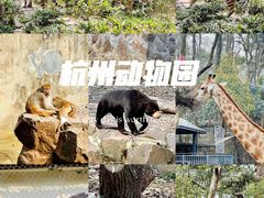 -杭州动物园