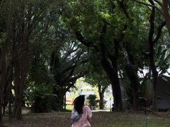 -华侨公园