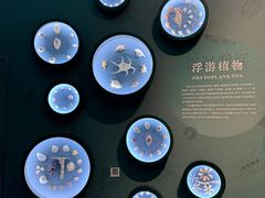 -中国湿地博物馆